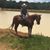 Juan Varela Sanchez's profile image