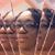 Candice Dillard's profile image