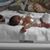 Elizabeth Danielle Stark's profile image