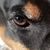 Melissa Millick Davidson's profile image