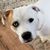 Ron Benedict's profile image