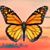 Yolanda Chavez's profile image