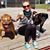 Hailee Nicole Meisner's profile image