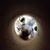 Cathy Ogburn's profile image