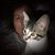 Mikki Moore's profile image