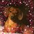 Dawna Jennings's profile image