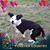 Evelyne Boulerice's profile image