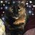 TammyLynn Mayer's profile image