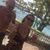 Kristy Cary Schwarz's profile image