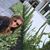 Heather Lynch's profile image