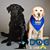 Kathy Taylor's profile image