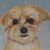 Martha Glosser Lehane's profile image