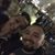 Jorge J Martinez's profile image