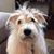 Christine Akers's profile image