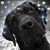 Jana Blue's profile image