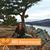Michelle LeDoux's profile image