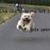Kim Bickley's profile image