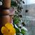 Denise Eaton's profile image