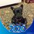 Charlene Dudley's profile image