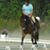 Ariana Wissick's profile image