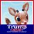 Judy Rumsey's profile image