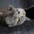 Meri Hoover's profile image