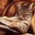 Kim Jacques McLean's profile image
