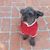 Eileen Avneri's profile image