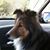 Michael Barry Arkin's profile image