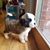 Brandy Hurley Brown's profile image