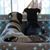 Pam Boehmer's profile image