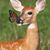 Ginny Mulligan's profile image