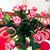 Yvonne Gustafson's profile image
