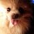 Sheila Dean Gardner's profile image
