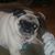 Missy North's profile image