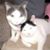 Judy Zynko's profile image