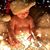 Corinna Gustke Michels's profile image