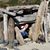 Crystal Turton's profile image