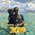 Carol Phillips Wilner's profile image