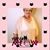 Connie Fox Marien's profile image