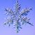 Jill Sliger Hasker's profile image