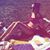 Lise Ginoux's profile image