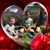 Donna Shepherd's profile image