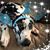 Tab Deener's profile image