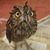 Randall Weatherman's profile image