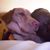Hilda Ross's profile image