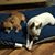 Kimberly Grosskopf's profile image