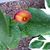 Susan Soule's profile image