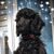 Beverly Marotto's profile image