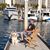 William Scott Prine's profile image